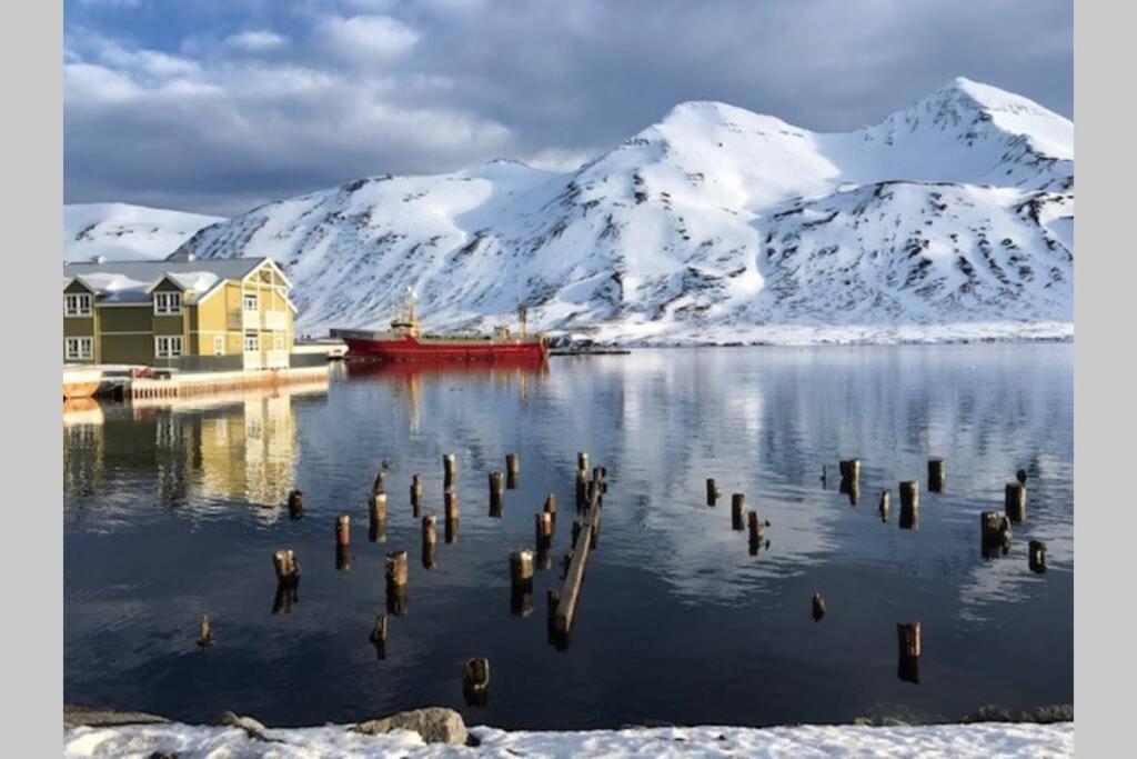 House With A Warm Soul In North Iceland Siglufjordur Екстер'єр фото